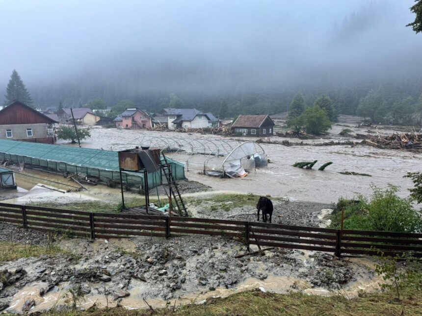 firmele de asigurari din romania au platit anul trecut 21 de dosare de daune in fiecare zi ca urmare a furtunilor si inundatiilor 6a344e70e4c01