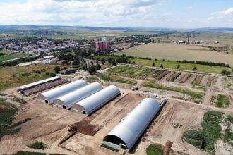 grup serban holding isi vinde active din bacau si vaslui pentru 165 mil euro 6a3ab2e615ee8