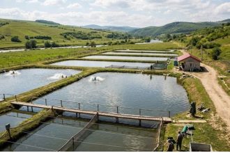 14 milioane de euro bani de la ue pentru fermele de acvacultura romanesti se dau 174 de euro pe ha pe an 6a634b157c869
