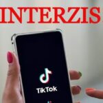 buletin de internet interzis pe social media pentru copiii sub 13 ani in intreaga uniune europeana recomandare a expertilor din ue 6a54ca99344f7