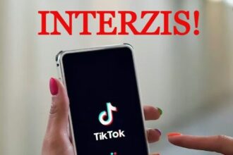 buletin de internet interzis pe social media pentru copiii sub 13 ani in intreaga uniune europeana recomandare a expertilor din ue 6a54ca99344f7