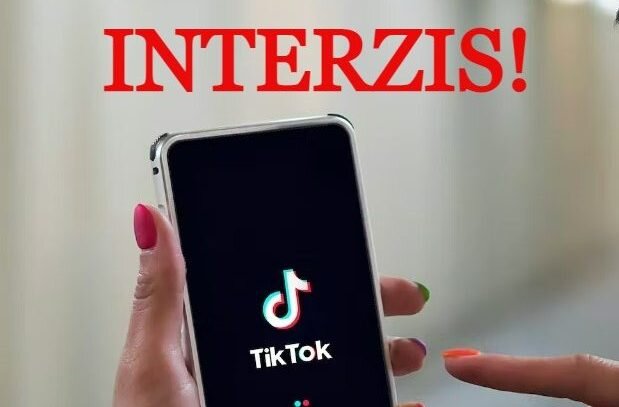 buletin de internet interzis pe social media pentru copiii sub 13 ani in intreaga uniune europeana recomandare a expertilor din ue 6a54ca99344f7
