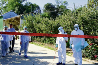 camera deputatilor a votat masuri noi pentru combaterea ppa printre care extragerea integrala a mistretilor din zonele contaminate si controale dure la frontiera crescatorii de porci saluta decizia 6a6ccc1d67b93