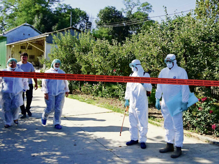 camera deputatilor a votat masuri noi pentru combaterea ppa printre care extragerea integrala a mistretilor din zonele contaminate si controale dure la frontiera crescatorii de porci saluta decizia 6a6ccc1d67b93