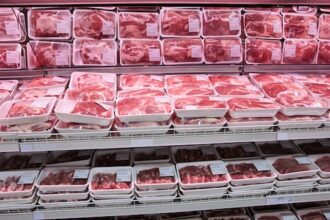 ce s a intamplat cu productia de carne din romania unde au fost scaderi spectaculoase date oficiale 2026 6a50b9fb10d79