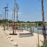 foto promenada lacul morii scandal cu arborii plantati din pacate majoritatea nu s au prins raspunsul adpdu s6 6a689f2bbe051
