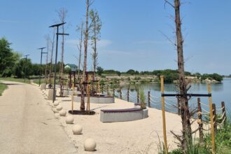 foto promenada lacul morii scandal cu arborii plantati din pacate majoritatea nu s au prins raspunsul adpdu s6 6a689f2bbe051