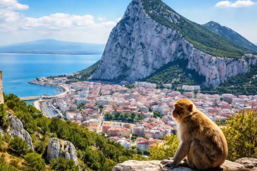 moment istoric tratatul de libera circulatie intre spania si gibraltar a intrat in vigoare 6a57435212e6e