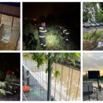 omniasig a deschis 205 dosare de dauna la nivel national in urma furtunilor violente din ultimele zile cele mai multe dintre acestea in bucuresti si ilfov 6a47e1eb0fa1b