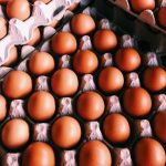 oul de tinca are profituri de 3 4 ori mai mari decat orice multinationala activa in productie din zona oradea 6a6312ee53837