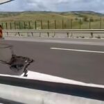 surparea de pe autostrada a10 sebes turda cnair ar putea da in judecata porr construct pentru recuperarea banilor de reparatii 6a4bd66c24b81