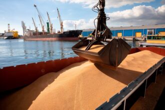 ucraina porturile de la marea neagra au pierdut o treime din capacitatea de export de cereale 6a57899dd4b9a