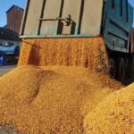 aac cerem clarificarea masurilor aplicate de romania pentru controlul cerealelor ucrainene aflate in tranzit pe teritoriul tarii si protejarea fermierilor romani 6a7f4ef8c1b7e