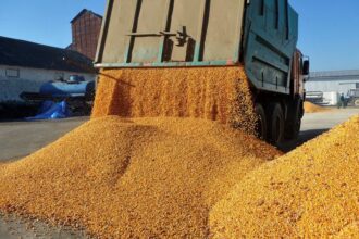 aac cerem clarificarea masurilor aplicate de romania pentru controlul cerealelor ucrainene aflate in tranzit pe teritoriul tarii si protejarea fermierilor romani 6a7f4ef8c1b7e