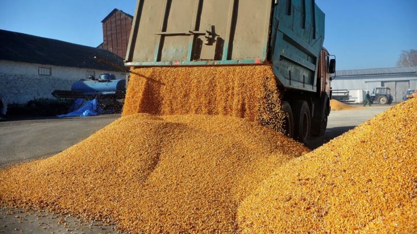 aac cerem clarificarea masurilor aplicate de romania pentru controlul cerealelor ucrainene aflate in tranzit pe teritoriul tarii si protejarea fermierilor romani 6a7f4ef8c1b7e