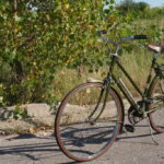 brandul britanic raleigh cel mai mare producator de biciclete din lume a intrat in insolventa 6a74d109959f9