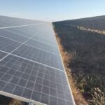 cel mai mare parc fotovoltaic din romania va fi inaugurat oficial luna viitoare israelienii de la nofar pun in functiune doua centrale dintr un foc peste 300 mw odata 6a894e5d4854b