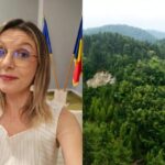 diana buzoianu romania a depasit tintele pnrr pentru paduri anunt de la ministerul mediului despre zonele cu cele mai mari suprafete impadurite 6a7c2daa4bce3