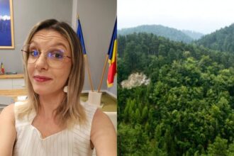 diana buzoianu romania a depasit tintele pnrr pentru paduri anunt de la ministerul mediului despre zonele cu cele mai mari suprafete impadurite 6a7c2daa4bce3