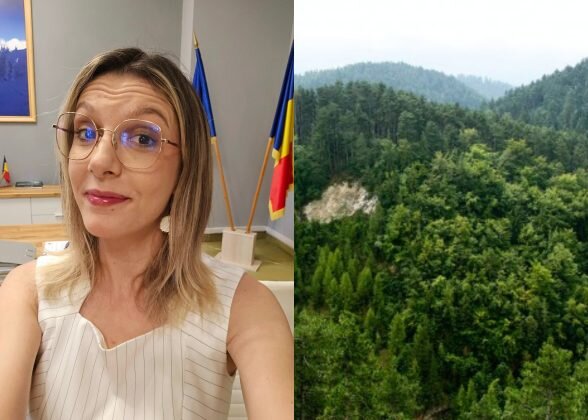 diana buzoianu romania a depasit tintele pnrr pentru paduri anunt de la ministerul mediului despre zonele cu cele mai mari suprafete impadurite 6a7c2daa4bce3