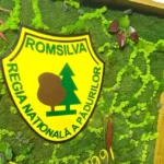 directia silvica dolj scoate la licitatie un acord cadru de peste 55 milioane de lei pentru impaduriri la ocolul silvic dabuleni 6a7498cb13d42