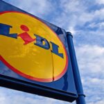 foto surpriza totala pentru clientii lidl din romania pungile cu legume si fructe la 5 lei au aparut in magazine ce contin 6a737f8c9efa0