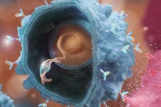 ft astrazeneca si bristol myers discuta o fuziune de 400 miliarde de dolari 6a706becdd93b