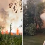 incendiu puternic in delta dunarii exista pericol de propagare la fondul forestier 6a836daed8b1a