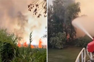 incendiu puternic in delta dunarii exista pericol de propagare la fondul forestier 6a836daed8b1a