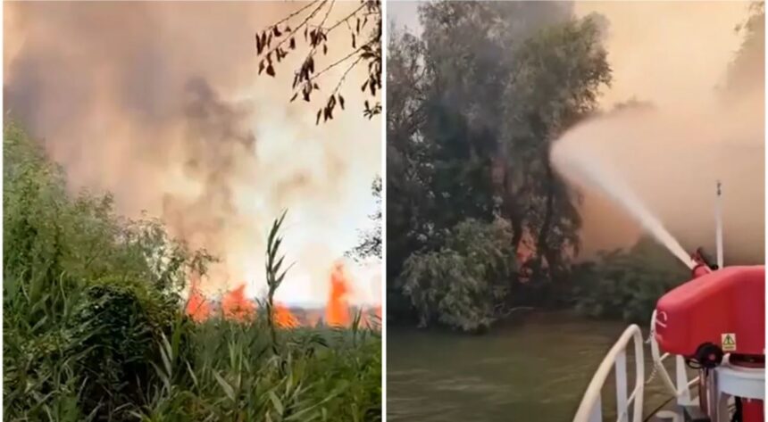 incendiu puternic in delta dunarii exista pericol de propagare la fondul forestier 6a836daed8b1a