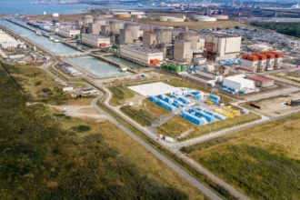 meduzele au oprit trei reactoare ale unei centrale nucleare din franta 6a7b3049454c6