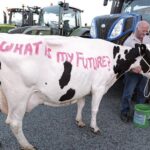 prabusire pentru gigantul dn agrar cel mai mare producator de lapte din europa si din romania scadere de 49 a profitului net in primele sase luni din 2026 6a8bf15a79400