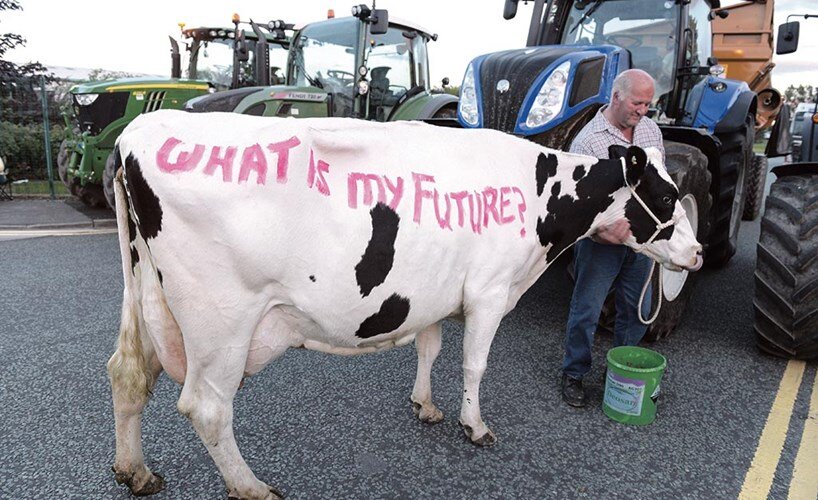 prabusire pentru gigantul dn agrar cel mai mare producator de lapte din europa si din romania scadere de 49 a profitului net in primele sase luni din 2026 6a8bf15a79400