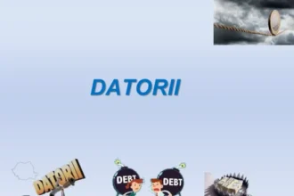 propunere inedita din mediul de afaceri lista neagra cu primariile si ministerele datoare privatilor conaf explica medelul italian sa plateasca penalitati 6a83356bcc338