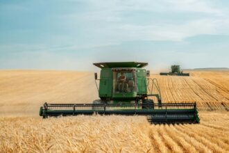 toate cooperativele agricole romanesti fac de 37 ori mai putini bani decat lidl cel mai mare lant de magazine dupa cifra de afaceri din 2026 6a6f991aec84f