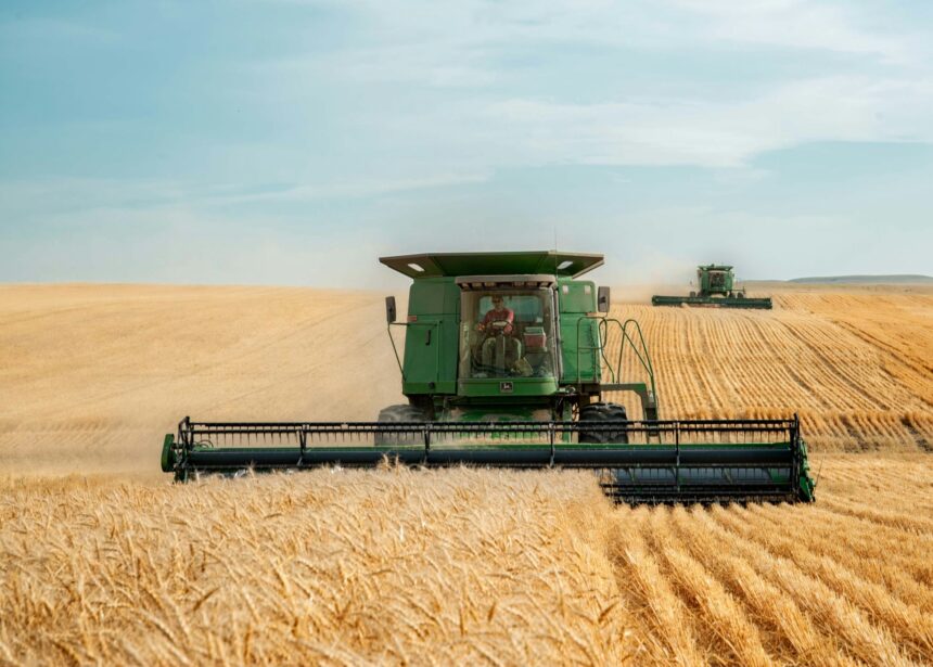 toate cooperativele agricole romanesti fac de 37 ori mai putini bani decat lidl cel mai mare lant de magazine dupa cifra de afaceri din 2026 6a6f991aec84f