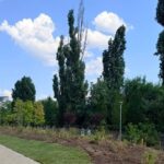un mare parc din bucuresti deschidere in weekend va bate recordurile din europa foto 6a8d974047c70