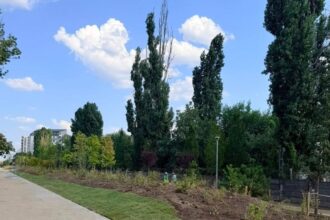 un mare parc din bucuresti deschidere in weekend va bate recordurile din europa foto 6a8d974047c70