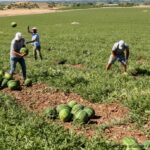 calea spre un job se opreste in anuntul de angajare jumatatea dintre tinerii necalificati se tem ca vor fi judecati dupa felul in care scriu studiu 6ac8c12b3f2d4