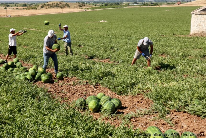calea spre un job se opreste in anuntul de angajare jumatatea dintre tinerii necalificati se tem ca vor fi judecati dupa felul in care scriu studiu 6ac8c12b3f2d4