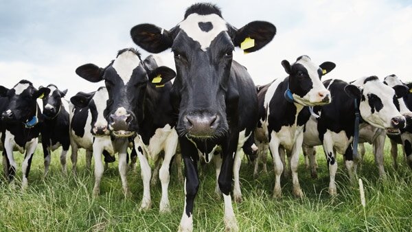 cele 27 de tari ale ue ajung la un acord privind reforma politicii agricole comune pac 6ae035da86879