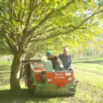 fructul romanesc care hraneste toata europa suntem lideri detasati interesul este tot mai mare 6ac237d040bf2