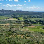 fuziune de 3 miliarde de euro in agricultura franceza cu impact si in romania consiliul concurentei a dat unda verde 6ad1edb0092d9