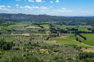 fuziune de 3 miliarde de euro in agricultura franceza cu impact si in romania consiliul concurentei a dat unda verde 6ad1edb0092d9