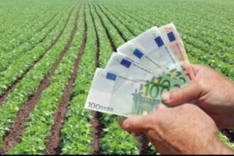 nu mai sunt bani pentru programul investitii in fermele de mici dimensiuni fermierii au depus deja cereri pentru 35 milioane de euro de doua ori peste plafon 6ac4cca8278be