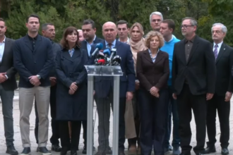 pnl a decis sa voteze in favoarea guvernului luca niculescu 6ad3858d00209