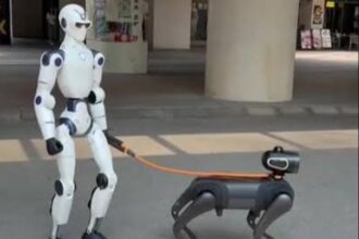 premiera sf pe piata asigurarilor din romania au fost asigurati primii roboti un umanoid si un caine ce valoare au 6ac4bdfe2acea