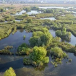 tururi ghidate gratuite pentru familii in parcul natural vacaresti azi 6ad306e078707