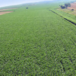 ue comisarul pentru agricultura ingrijorat de viitorul buget pentru pac 6ac7289aa3cc4
