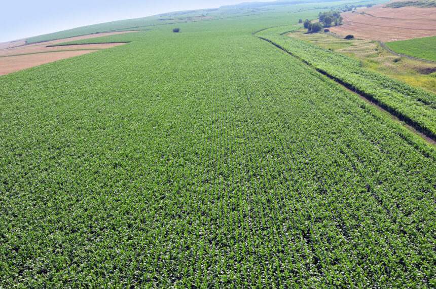 ue comisarul pentru agricultura ingrijorat de viitorul buget pentru pac 6ac7289aa3cc4